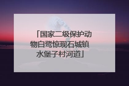 国家二级保护动物白鹭惊现石城镇水堡子村河道