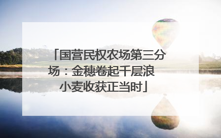 国营民权农场第三分场：金穗卷起千层浪 小麦收获正当时