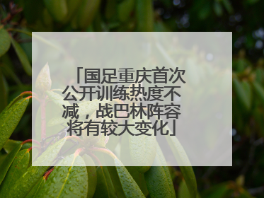 国足重庆首次公开训练热度不减，战巴林阵容将有较大变化