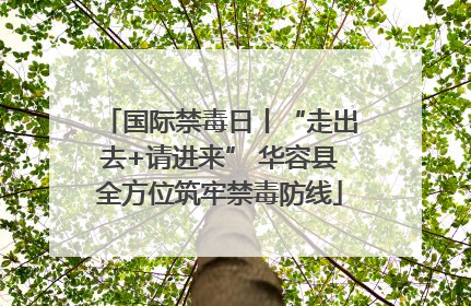 国际禁毒日丨“走出去+请进来” 华容县全方位筑牢禁毒防线
