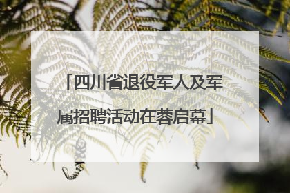 四川省退役军人及军属招聘活动在蓉启幕
