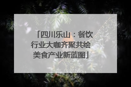 四川乐山：餐饮行业大咖齐聚共绘美食产业新蓝图