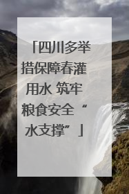 四川多举措保障春灌用水 筑牢粮食安全“水支撑”