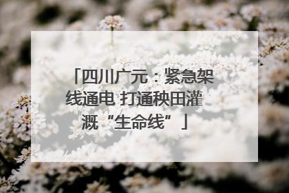 四川广元：紧急架线通电 打通秧田灌溉“生命线”