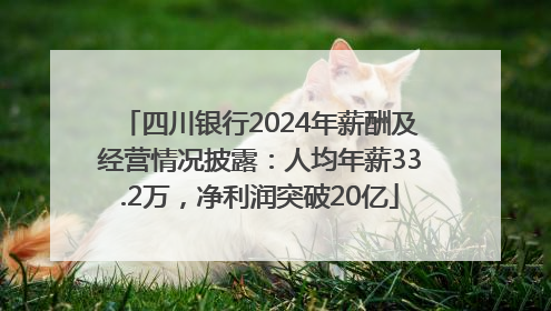 四川银行2024年薪酬及经营情况披露：人均年薪33.2万，净利润突破20亿