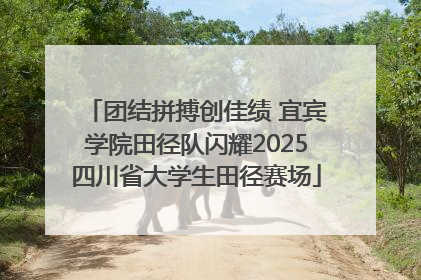 团结拼搏创佳绩 宜宾学院田径队闪耀2025四川省大学生田径赛场