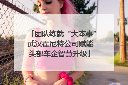 团队练就“大本事” 武汉霍尼特公司赋能头部车企智慧升级