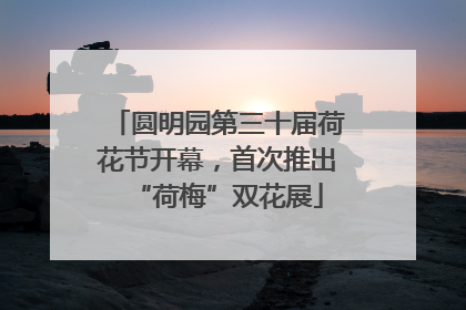 圆明园第三十届荷花节开幕，首次推出“荷梅”双花展