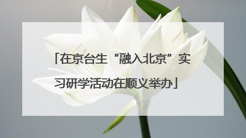 在京台生“融入北京”实习研学活动在顺义举办
