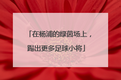 在杨浦的绿茵场上，踢出更多足球小将