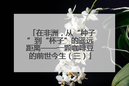 在非洲，从“种子”到“杯子”的遥远距离——一颗咖啡豆的前世今生（三）