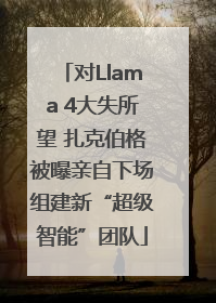 对Llama 4大失所望 扎克伯格被曝亲自下场组建新“超级智能”团队