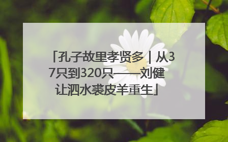 孔子故里孝贤多｜从37只到320只——刘健让泗水裘皮羊重生