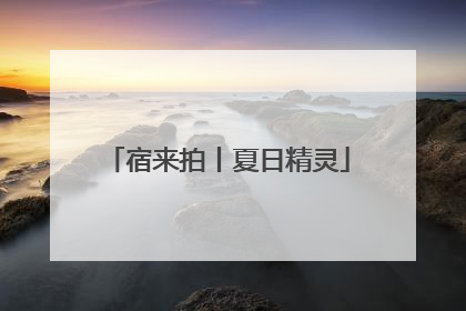 宿来拍丨夏日精灵