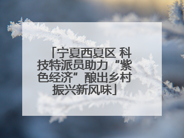 宁夏西夏区 科技特派员助力“紫色经济”酿出乡村振兴新风味