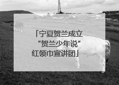 宁夏贺兰成立“贺兰少年说”红领巾宣讲团