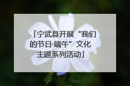 宁武县开展“我们的节日·端午”文化主题系列活动