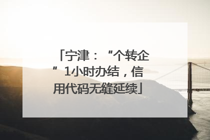 宁津：“个转企”1小时办结，信用代码无缝延续