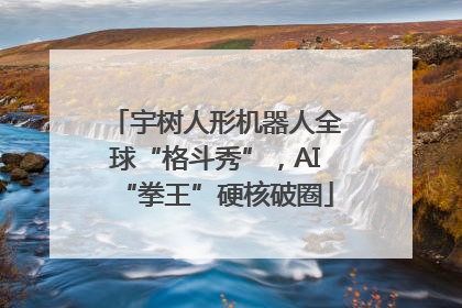 宇树人形机器人全球“格斗秀”，AI“拳王”硬核破圈