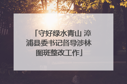 守好绿水青山 漳浦县委书记督导涉林图斑整改工作