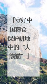 守好中国粮仓 保护耕地中的“大熊猫”