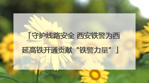 守护线路安全 西安铁警为西延高铁开通贡献“铁警力量”