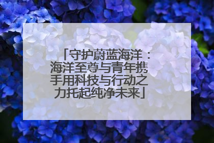 守护蔚蓝海洋：海洋至尊与青年携手用科技与行动之力托起纯净未来