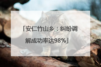 安仁竹山乡：纠纷调解成功率达98%