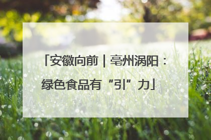安徽向前｜亳州涡阳：绿色食品有“引”力