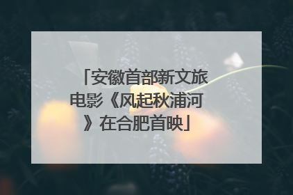 安徽首部新文旅电影《风起秋浦河》在合肥首映