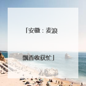 安徽：麦浪飘香收获忙