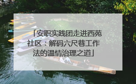 安职实践团走进西苑社区：解码六尺巷工作法的温情治理之道