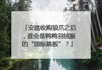 安踏收购狼爪之后，谁会是鸭鸭羽绒服的“国际跳板”？