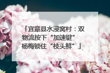 宜章县水浸窝村：双物流按下“加速键” 杨梅锁住“枝头鲜”