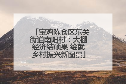 宝鸡陈仓区东关街道南阳村：大棚经济结硕果 绘就乡村振兴新图景