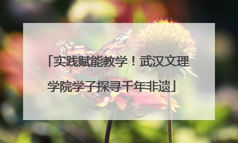 实践赋能教学！武汉文理学院学子探寻千年非遗