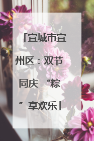 宣城市宣州区：双节同庆 “粽”享欢乐