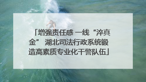 增强责任感 一线“淬真金” 湖北司法行政系统锻造高素质专业化干警队伍