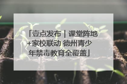 壹点发布｜课堂阵地+家校联动 德州青少年禁毒教育全覆盖
