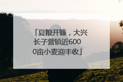 夏粮开镰，大兴长子营镇近6000亩小麦迎丰收