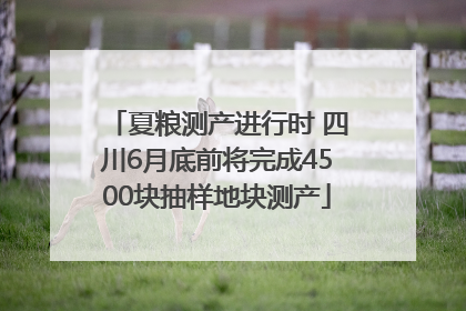 夏粮测产进行时 四川6月底前将完成4500块抽样地块测产