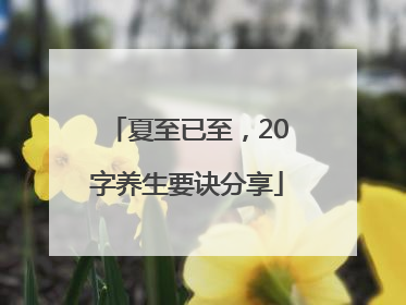 夏至已至，20字养生要诀分享