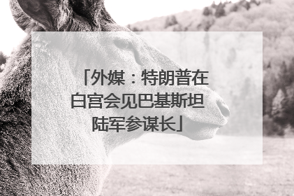 外媒：特朗普在白宫会见巴基斯坦陆军参谋长