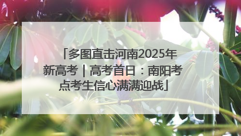 多图直击河南2025年新高考｜高考首日：南阳考点考生信心满满迎战
