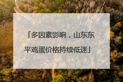 多因素影响，山东东平鸡蛋价格持续低迷