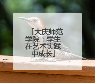 大庆师范学院：学生在艺术实践中成长