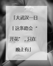 大武汉一日丨这条路会“开花”，只在晚上有