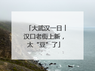 大武汉一日︱汉口老街上新，太“豆”了