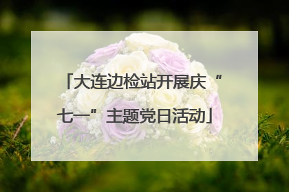大连边检站开展庆“七一”主题党日活动