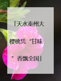 天水秦州大樱桃凭“甘味”香飘全国